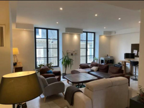 Location 12 personnes hyper centre